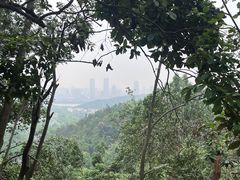 -岳麓山风景名胜区