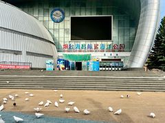 -烟台海昌鲸鲨海洋公园