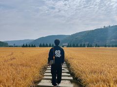 -南泥湾风景区