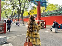-北京国子监胡同