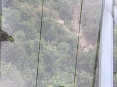 -呀诺达热带雨林
