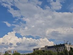 -洋湖国家湿地公园