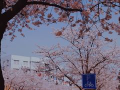 -永乐路-路侧停车场