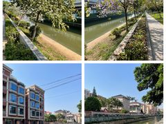 -长洲岛