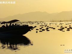 -西涌国际滨海旅游区