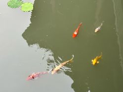 -北京郡王府饭店·宴会厅