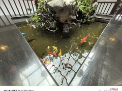 -古韵轩·园林餐厅