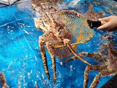 -盒马鲜生(馥邦国际店)