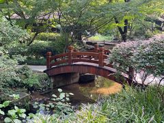 -中国茶叶博物馆(双峰馆区)
