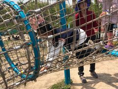 -季高兔窝窝亲子园(上海薰衣草公园店)