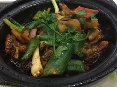 沙锅烧黄鳝-金瑞轩大酒楼·顺德鱼生·粤菜海鲜(东江国际店)