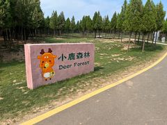 -伏羲山旅游区