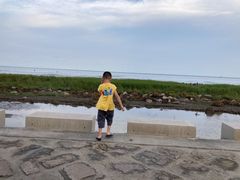 -南汇嘴观海公园