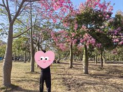 -风云岭森林公园