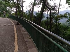 -黔灵山公园-南门售票处