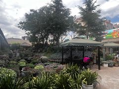 -山菌美食苑(振兴路店)