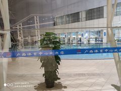 -广西体育中心-游泳馆