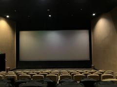 -山文星辉影城(济南和谐广场店)