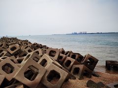-东疆建设开发纪念公园