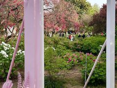 -洛阳市隋唐城遗址植物园