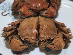 -呼吸森林·生态农庄农家乐私房菜