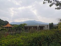 -龙山酒店温泉