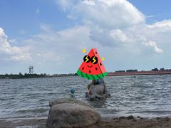-金沙湖旅游度假区