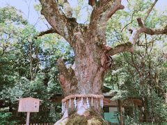 -热田神宫