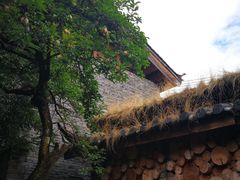 -田德能咖啡博物馆
