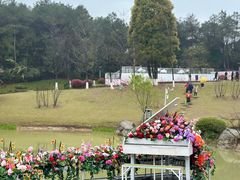 -铁山坪森林公园