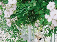 -无锡新湖铂尔曼大酒店