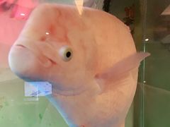 -康悦沐足城(亿方店)