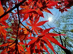 -浙江西湖美术馆