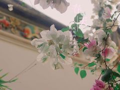 -深圳国际园林花卉博览园