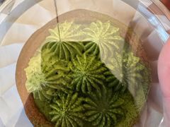 -慢熟面包店bud bread(孩儿巷店)