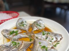 -阿莉餐厅(枣阳路店)