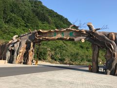 -龙道沟景区