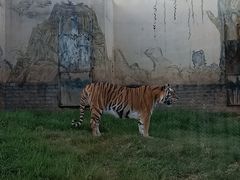 -无锡动物园·太湖欢乐园