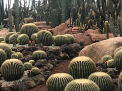 -南通洲际绿博园