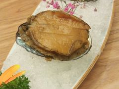 -一本钓鲔鱼屋