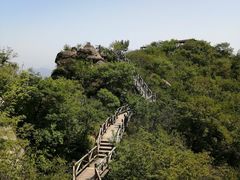 -大岭沟猕猴桃谷风景区