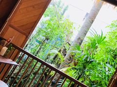 -Naughty Nuri’s Phuket