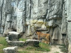 -上海野生动物园