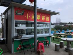 -小鱼草莓采摘园农家乐·小鱼餐厅