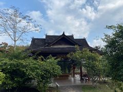 -中国科学院西双版纳热带植物园