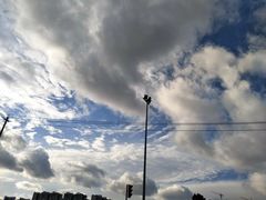 -白鹭湾湿地公园