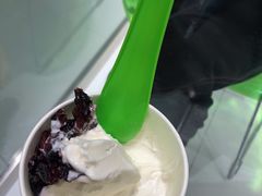 -Salud撒露欧洲冻酸奶(蓝色港湾店)