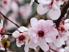 -西南政法大学(渝北校区)