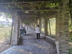 -龙寺生态园