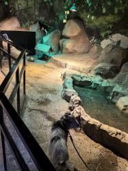 -酷嗒动物文化乐园(cutezoo西溪乐天城店)